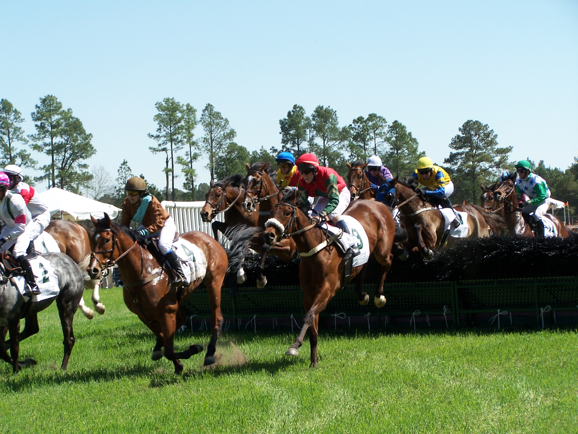 Meet DESELL & CO. REALTY GROUP: Southern Pines, North Carolina