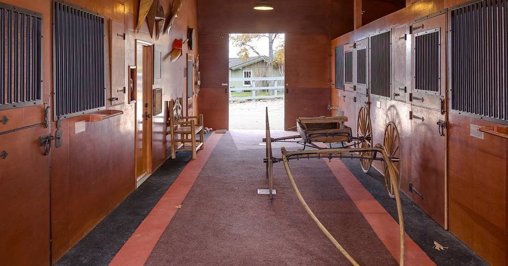 32155.jpg
