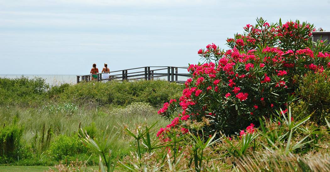 Kiawah-Island.jpg