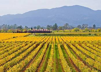 Sonoma, CA, USA