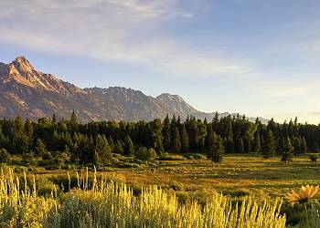 Jackson Hole, WY, USA