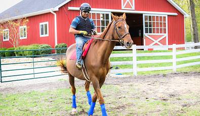 Pristine 12 Acre Horse Farm