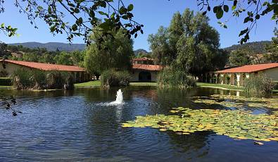Beautiful 71 Acre Equestrian Estate!