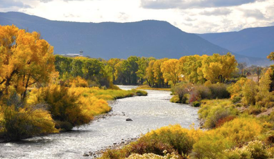 BEAUTIFUL 35.5 ACRES SET ON EAGLE RIVER
