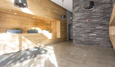 Edge Lofts