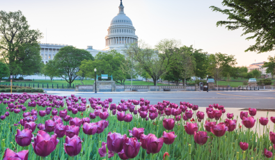 Location: Washington D.C.