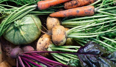 How to Plan and Plant Your Own Vegetable Garden