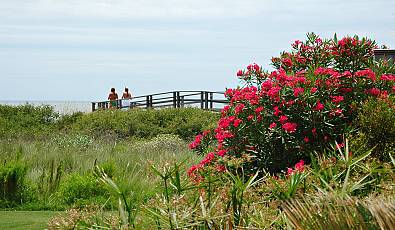 Location: Kiawah Island