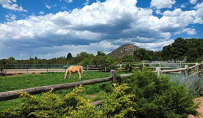 Ride in Style: Luxurious Equestrian Properties