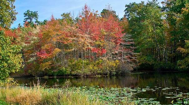 Rumson, NJ, USA