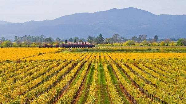 Sonoma, CA, USA