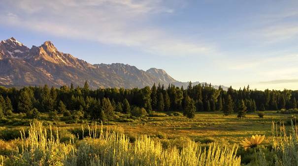 Jackson Hole, WY, USA