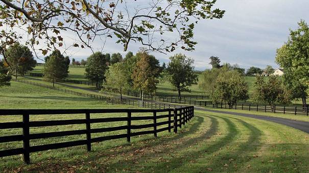 Lexington, KY, USA